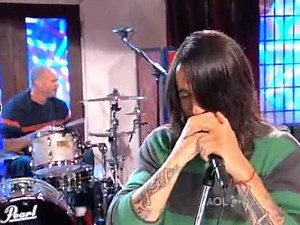 Red hot chili peppers - Scar Tissue (Live)