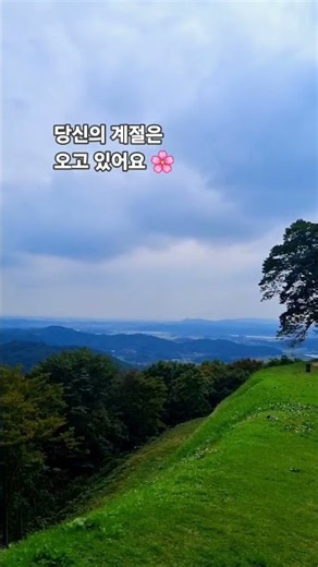 오늘 하루 고생한 당신에게 전하는 노래 | 조선힙합 《마음의 숲》 #조선힙합 #마음의숲 #힐링 #위로 #감성 #Shorts #음악추천 #오늘의위로
