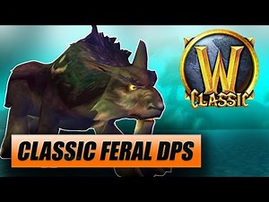 Classic WoW Feral Druid DPS