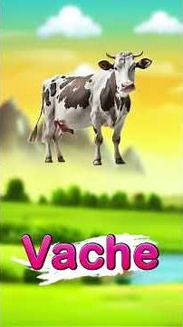 Découvrez les 10 meilleurs animaux domestiques
