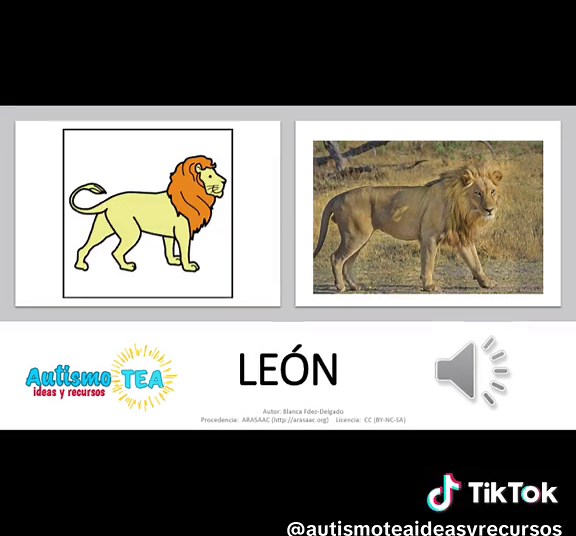 Aprendemos Vocabulario de Animales con Pictogramas