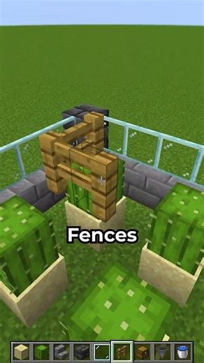 Making a Cactus Farm in Minecraft ?⛏️🌵