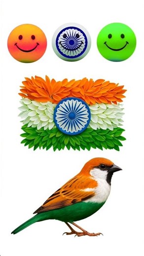 indian flag craft art | 15 August status #26january #janaganamana #shorts #shortsfeed #trending #yt