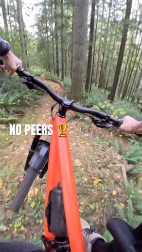 This 29er killed the Mullet? 💀#29er #TrailBike #MTB