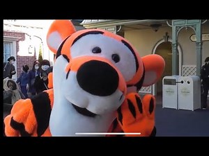 Tigger Surprised Me and Cutest Winnie the Pooh Disneyland Tokyo Meet and Greet