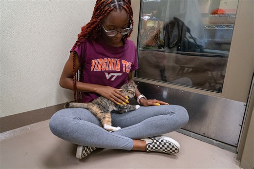 3.1K views · 61 reactions | Did you know that strolls with your cat...