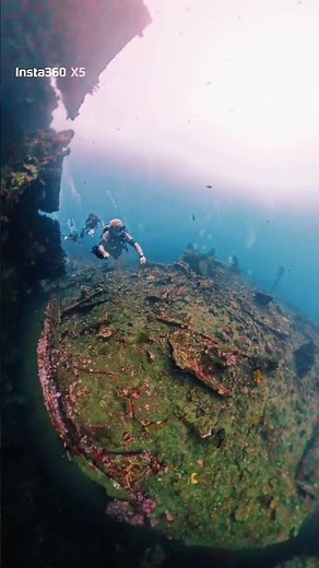 Open Water Diver Course at Liberty Wreck
