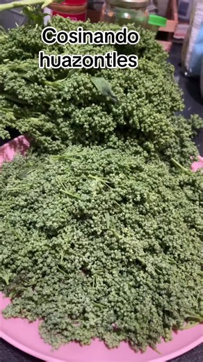 Deliciosos Huazontles: Sabores de Puebla