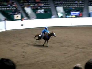 Key hole, state 4-h horse show!!