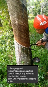 Tips para Dili makahoy Ang guma #tutorial #rubbertapping #tips #Informative #fblifestyletyle #reelsviral #kajonelvlog #TopFans #highlightseveryonefollowers | Ka.JoneL vlog