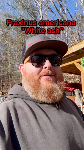 #firewood #trees #species #information #learning #knowledge | Foothills Firewood