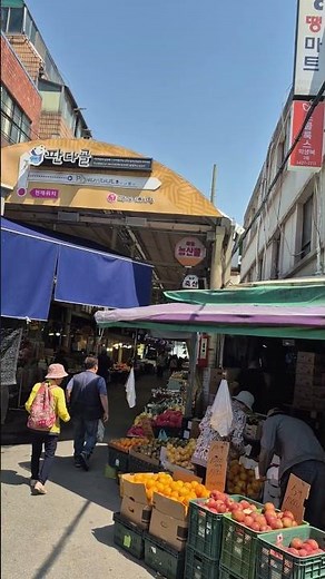 명일 판다골 전통시장 대한민국 소리 명장