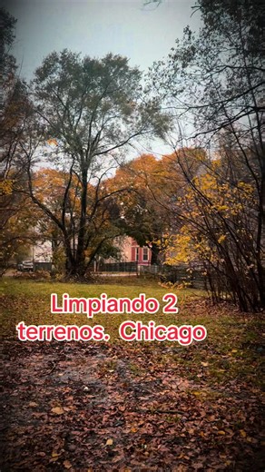 Limpiando 2 terrenos sur de chicago. #maciastreeservice #treeremoval #treeservice#treecare#arblife