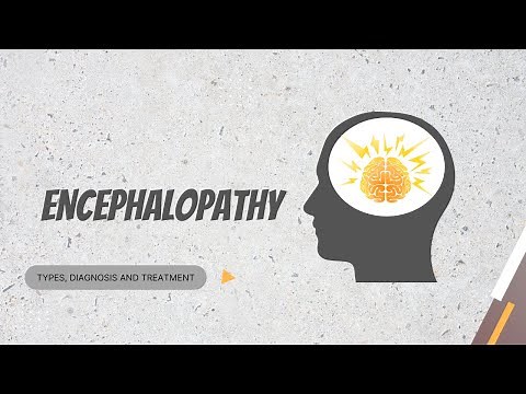 Encephalopathy: types, diagnosis and treatment options