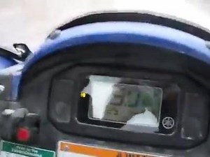 Great danes can run upwards of 30 miles per hour! | RedOrbit.com