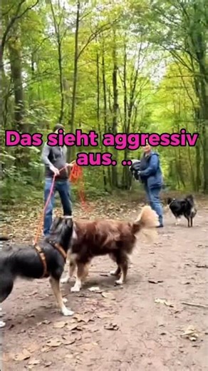 Aggression oder klare Kommunikation?
