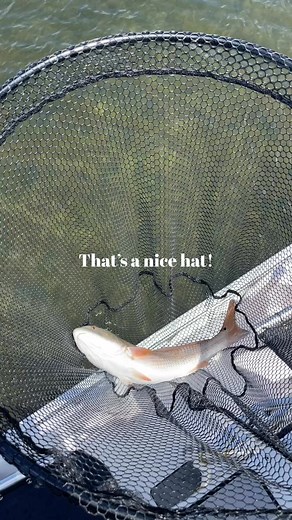 Back on the site fishing grind🎣. #Redfish #SightFishing #GulfCoastFishing #InshoreFishing #FishingGuide #RedfishSeason #GulfCoastGuideFishing | Gulf Coast Guide Fishing