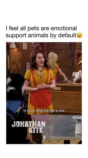 Movie | Entertainment | Drift on Instagram: "That was easy for her to get the truth out of her 😭 🎬: 2 Broke Girls Street-wise Max (Kat Dennings) doesn’t expect much from the new waitress at her night job, a rich girl who has reluctantly joined the food service industry after a string of bad luck. But to her surprise, Caroline (Beth Behrs) is a woman of substance and just may be her ticket to success. The two strike up an unlikely friendship after Caroline discovers that Max can bake a mean cup