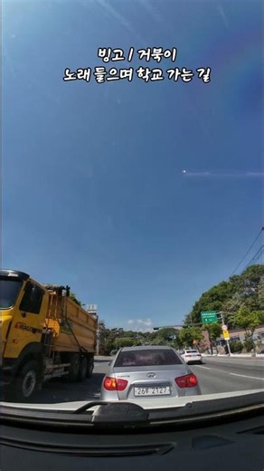 빙고 / 거북이 ♩♪♫♬ 노래 들으며 학교 가는 길 1