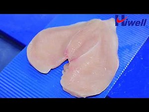 Hiwell--fresh meat poultry fish slice machine horizontal slicer FQJ2-200-VII