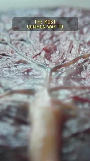 Placenta Chef: Reintroducing Placenta for Postpartum Wellness