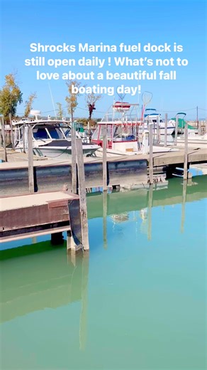 11K views · 193 reactions | Hidden Beach Bar on Reels | Facebook