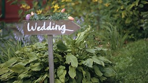 Cinematic wedding video