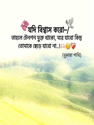 বুঝছো পাখি..! হৃদয়ভরা সংক্ষিপ্ত ক্লিপ (TikTok ভিডিও)