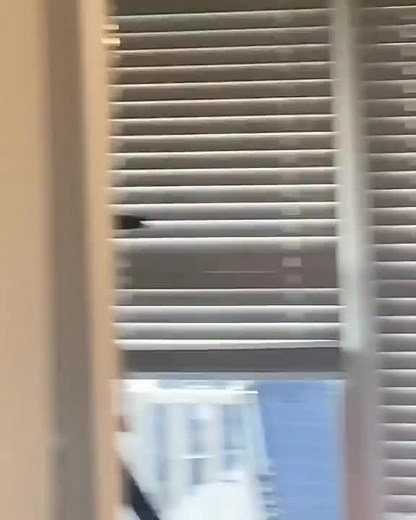 JADYN RYLEE (@jadyn.rylee5)’s videos with original sound - JADYN RYLEE