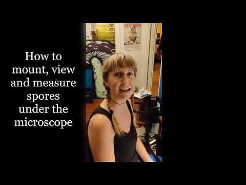 Fungal Microscopy: How to mount a slide, view and measure spores