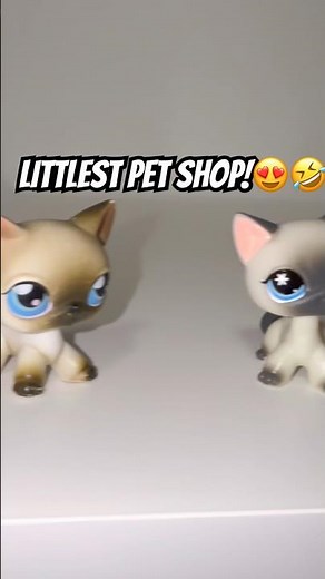 Littlest Pet Shop kitties and puppies😍🤣 #littlestpetshop #lps #lpscollector #cute #toys #funny