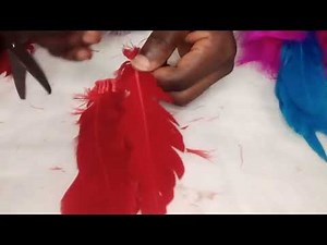 Tutorial on fascinator feathers trimming for beginners.