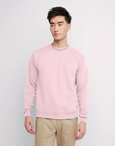 Hanes Men's and Big Men's EcoSmart Fleece Sweatshirt, Sizes S-5XL