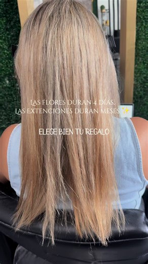 #CapCut #extenciones #microchip