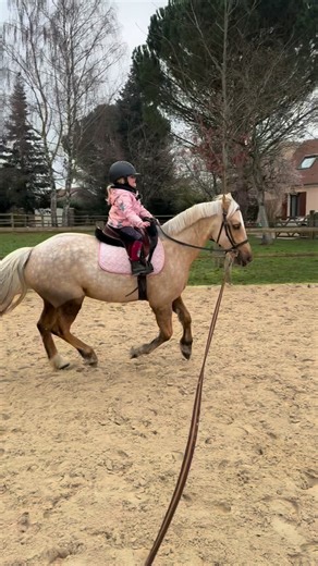 La Palomino Family on Instagram: "Petite séance de motricité pour Freyja, avec Elsghor au programme 🤍 : test du galop à une main, puis sans les mains, et enfin galop sans étriers. Freyja progresse énormément en ce moment, je suis vraiment très fière d’elle. Elle a toujours envie de faire, et surtout de bien faire. Inutile de vous dire qu’Elsghor a, une fois encore, été parfait ❤️#pony #girl #kidsfashion"