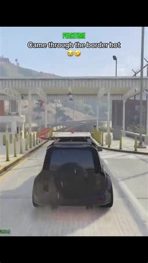 I don’t have no drivers license in there😭😘 #fyp #gtarp #fivem | border