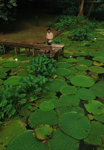 Leticia Amazonas Colombia Un destino imperdible en este 2025 ¡Viaja con nosotros! #amazonas #amazonascolombia #tours #planes #leticia #travel #fyp