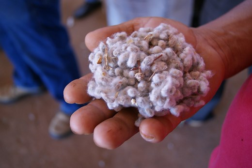 World Cotton Day | 7 October