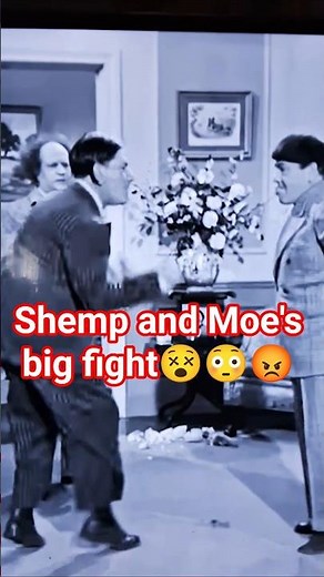 The three stooges #the3stooges #comedygroup #film #comedytrio #shotrs