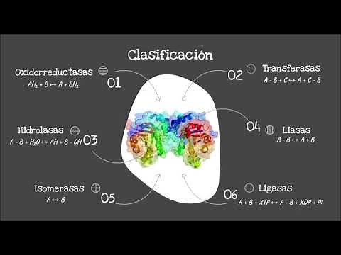 Nomenclature and classification of enzymes