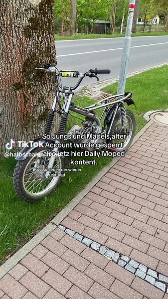Halbschalen_hansi on TikTok