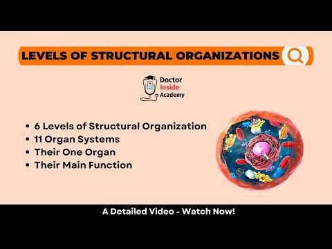 6 Levels of Structural Organization | 11 Organ Systems | Doctor Inside Academy