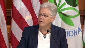 Trees Save More Than 850 Lives a Year, Forest Service Study Says