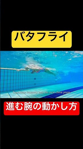 [ #Swimming ] How to move your arms to glide effortlessly in the butterfly stroke #swimming #shorts