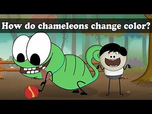 How do chameleons change color? | #aumsum #kids #science #education #children