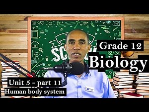Grade 12 Biology Unit 5 part-11 Human body system