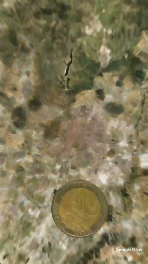 flip the coin cartoon