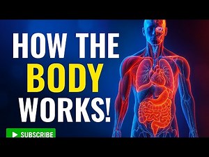 🧠 Anatomy & Physiology 24 MCQ Quiz with Answers | Test Your Medical Knowledge!