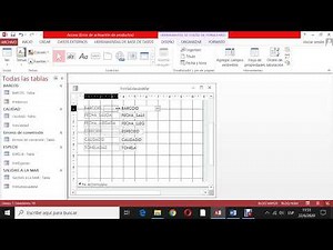 Video Access Formularios