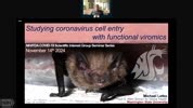 NIH VideoCast - NIH-FDA COVID 19 Lecture Series: Studying Coronavirus Cell Entry with Functional Viromics by Michael Letko, PhD